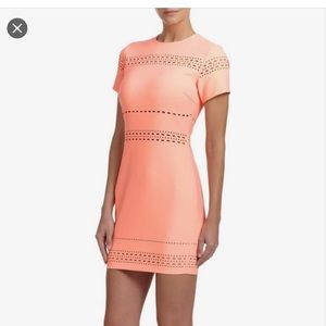 Elizabeth and James peach mini